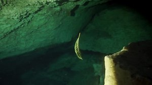 Cave diving in underwater caves of Yucatan Mexico cenotes.