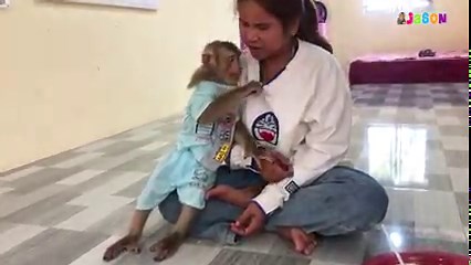 Clever Jason Insistent To Play Remind Newborn Time In Mosquito Net😂 | Monkey Jason