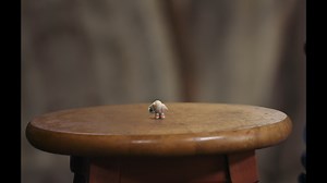 1.7K views · 30 reactions | A tiny shell with a big heart. #MarcelTheShell is a delightful film by Dean Fleischer Camp starring Jenny Slate. Coming to cinemas February 17. | Universal Pictures | Facebook