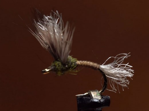 Video: How to Tie the BWO Improved Sparkle Dun - Orvis News