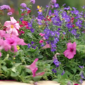 3.7K views · 29 reactions | Did you know your plants can water themselves with a raised bed garden? Check it out here and make sure to use Miracle-Gro soil to keep your plants happy all season. #ad https://bit.ly/2HGWGEM | Home.Made.Nation | Facebook