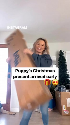 5.4K views · 17 reactions | Pssssst! Perfect gift idea: PupRug™ Memory Foam Dog Bed  | Paw.com | Facebook