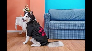 Plaid Dog Hoodie Pet Clothes Sweaters with Hat