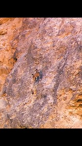 लोमड़ी बकरी का शिकार करती है | Narathar Media நாரதர் மீடியா