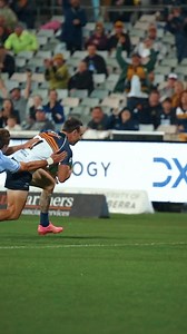 10K views · 179 reactions | Cheetah code unlocked in 2025  Story: bit.ly/3NbEXse | ACT Brumbies | Facebook