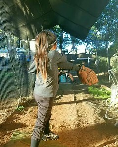 Over & Under 🙌🏼 . Paisleys Pitching Plus Spin-Line Softball 👈 . Get some good drill work at Paisleyspitching.com 👌 | Softball is For Girls