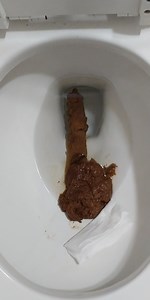Toilet Poop 3 - The Flush