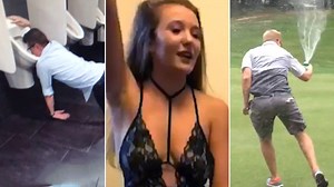 Party Girls, Tough Pups, Party Pros, and more. Grab a beer and let’s watch some internet! | theCHIVE