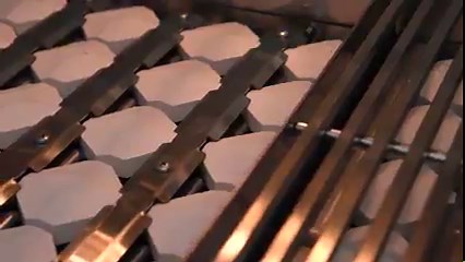 With a seamless design and superior performance, the all-new Atlas Grill by American Made Grills ensure you get the most out of your outdoor kitchen. More on the Atlas Grill 🔥: http://ow.ly/6NVn50OCo12 | BBQGuys