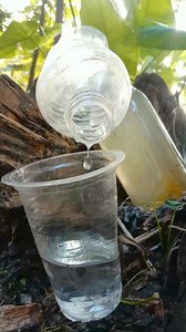 Steam distiller for dirty water #camping #survival #outdoors #skills #survival_bogura #reels #Amazing | Survival Bogura