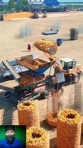 1M views · 9.5K reactions | ನೋಡಿ ಚೀನಾದ ಜೋಳದ ಕಂಪನಿ, ಮಷೀನ್ ಇಂದ ಕೆಲ್ಸ...