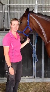 Dr Louise Cosgrove explaining how to safely inject a horse in the muscle! #eevs #eevsvet #drlouisecosgrove #horsevet #equinevet #IM #100%equine | Exclusively Equine | Facebook