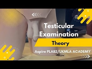 Testicular Examination: Step-by-Step Guide | PLAB2/UKMLA