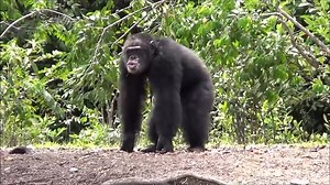 100 reactions · 18 shares | Q: What is “displaying”? A: “Displaying”...