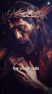 62K views · 5.7K reactions | ✨ La PODEROSA ORACIÓN del CREDO CATÓLICO ✨ (el Credo de Siempre)  [Oraciones Cortas] ️ #CredoCatólico | Oraciones Cortas | Facebook