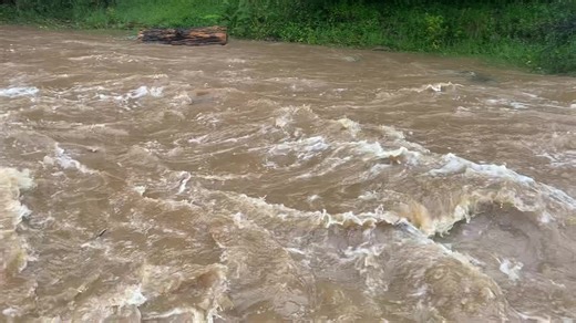 13K views · 517 reactions | The swimming hole is all awash today! Still raining BTW  | Walhalla | Facebook