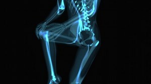 4K anatomy concept of a knee pain