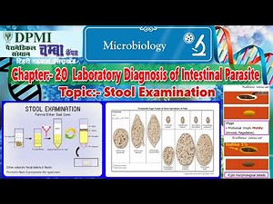 Stool examination || Laboratory Diagnosis of Intestinal Parasite