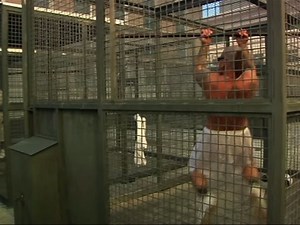 Rare Glimpse Inside California’s Death Row