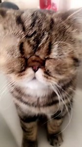 19K views · 318 reactions | Her eyes, I can't  | Kristen McGowan | Facebook