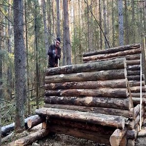 Building A Log Mini A frame! Building A Warm And Cozy Shelter | Viral Actor