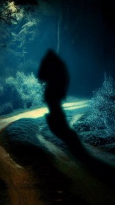 104K views · 2.1K reactions | The Beast of Bray Road? Family finds a Bigfoot den after an encounter with Bigfoot-like creature. | Bigfoot Evidence | Facebook