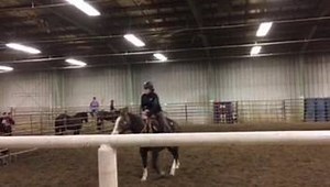 Here is a clip from Pete and I working on the heard bound exercise. His expression is a little unsure, this was towards the beginning of this exercise. If you look, as soon as he steps towards the corner of the arena I want him to he gets a release and petted on. With a few more minutes of pressure when he headed to the heard, and release towards the far end we were able to make our way to the corner and relax! -Leah and Pete 🚛 #msucoltstarting #DocsSpecialPistol #Pete | MSU Colt Starting Class