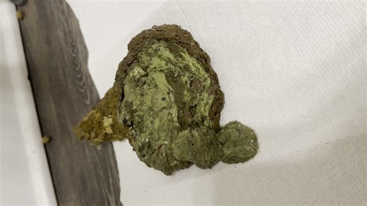 The "new potty chair" poop