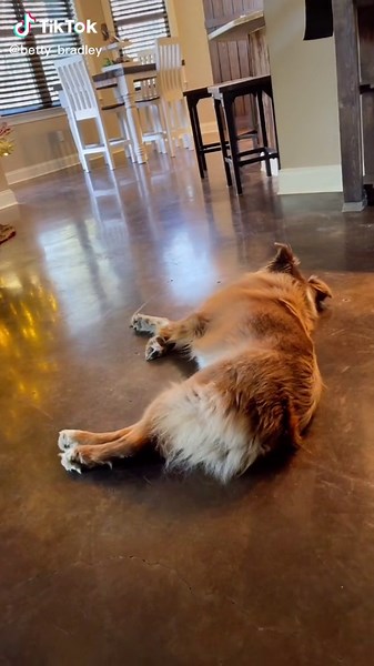 Betty Bradley on TikTok