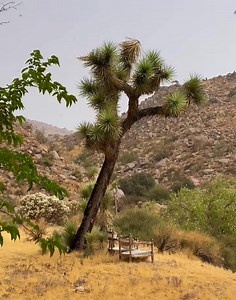 2.3K views · 152 reactions | SUMMER RAIN It’s monsoon season, and...