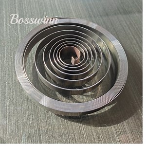 [Hot Item] Custom Constant Force Retractable Spiral Springs for Roller Shutter