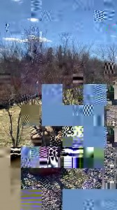 Digging fully mature heirloom blueberry bushes for a customer. We sell and ship all sizes of ultra-heavy bearing cold hardy blueberry plants and bushes that are ready to fruit this summer. Just give us a call at (609) 561-5905 to get a fast shipping quote or schedule drive-thru pick up appointment. We will be happy to answer all of your questions. Thank you. | DiMeo Blueberry Farms & Blueberry Plants Nursery