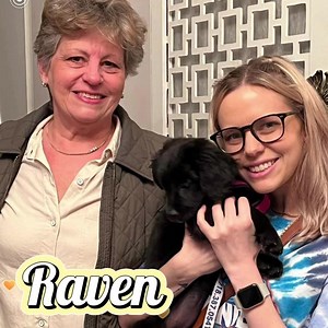 It’s time to celebrate. Meet our dogs and cats who joined their furever families the past weeks! #NYC #adoptables #adoptionjourney #GivingTuesday #bobbiandthestrays #lifestyle #adoptdontshop #longisland #love #adoption #home #family #catsofinstagram #rescuedog #pets #rescuecat #kitten #dogsofinstagram #rescuedismyfavoritebreed #puppy | Bobbi and the Strays