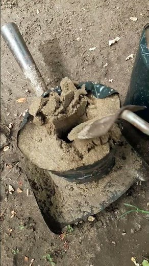 Rooting Apple Tree Cuttings Results 🍎🇯🇲