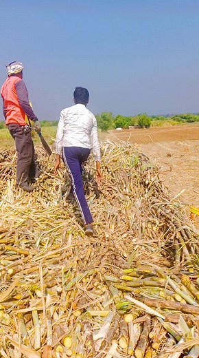 Namdev Kale on Reels