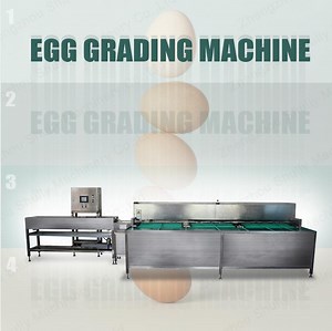 [Hot Item] Professional Duck Egg Washing Machine Egg Cleaning and Grading Machine