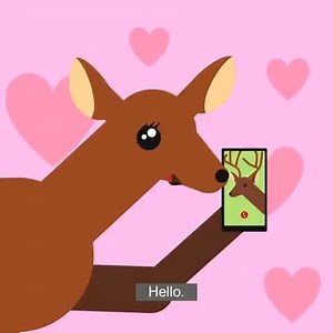 3K views · 35 reactions | Deer 歷 are bringing sexy back & you drivers better know how to act! #MatingSeason  is on! From October to December, #SlowDown & keep an eye out for our four-legged friends — especially at dusk & dawn — to avoid deer collisions. If you see one deer, their friend is close by | Virginia Department of Transportation | Facebook