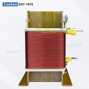 [Hot Item] Variable Power Frequency Coil Copper Wire Induction Coils Inductor with Good Price