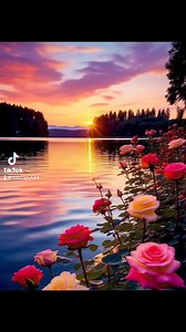 Miracles of nature | Fun And Crazy