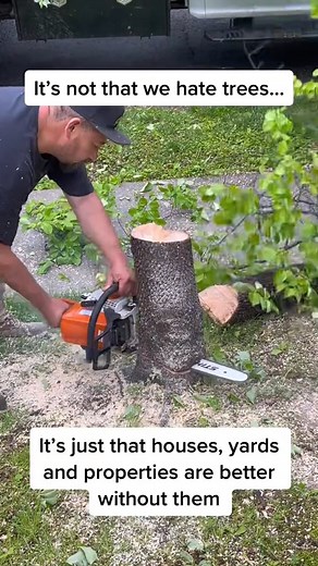 True story. And if you let trees or bushes get overgrown they are so hard to get rid of. | The Gibbons Group