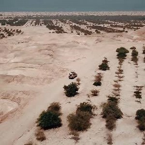 A safari that connects your inner soul with nature: Arabian Wildlife Park #InAbuDhabi. Is it on your bucket list? | Visit Abu Dhabi