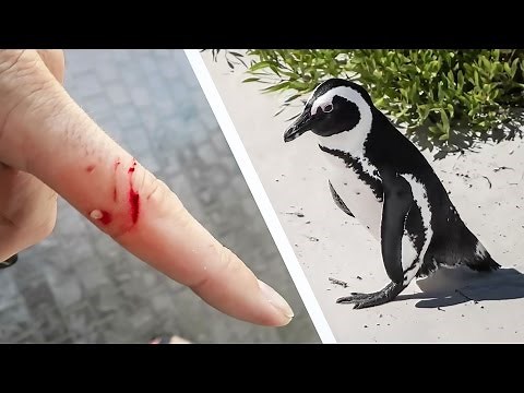 PENGUINS BITE!