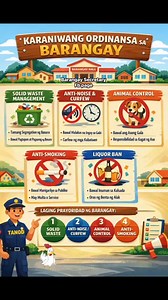 33K views · 304 reactions | Narito po ang pinaka-common at madalas ipinatutupad na mga Barangay Ordinance sa Pilipinas, batay sa karanasan ng maraming barangay at sa pinahihintulutan ng Local Government Code (RA 7160): | Barangay Secretary | Facebook