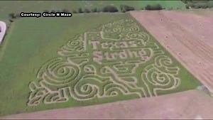The Circle N Maze in La Vernia is standing Texas Strong to support Harvey victims. The maze, which features an outline of the state, opens on September 23 and some of the proceeds from the attraction will go towards relief efforts. http://abc13.co/2w67oCQ | ABC13 Houston