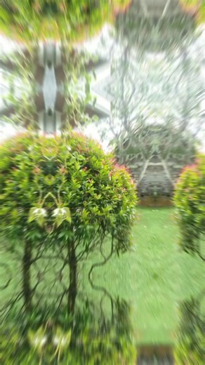 DAMAR CHANNEL on TikTok