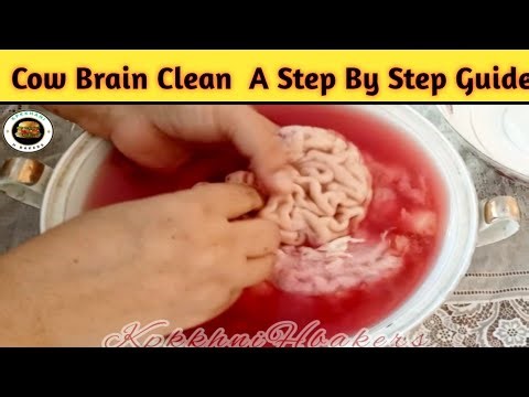Cow Brain Clean | Step-by-Step Guide to Safely Clean Maghaz | By kpkkhaniHbakers