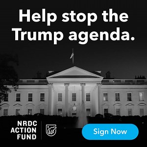 2.8K reactions · 503 shares | ⚠️ URGENT: Sign your name and help block the Trump Project 2025 agenda. The next Trump administration has plans to open pristine wilderness to drilling, eliminate wildlife protections, and reverse decades of climate progress. Join the NRDC Action Fund's fight to hold our lawmakers accountable for protecting our environment. | NRDC Action Fund | Facebook