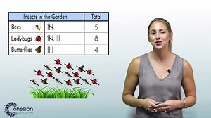 Interpret & Create Tally Charts