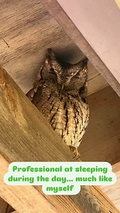 Caprock Canyons State Park on Reels