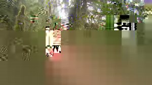 90K views · 988 reactions | Step into the Valley of the Giants — one of the last groves of virgin timber in the Oregon Coast Range. | OPB | Facebook